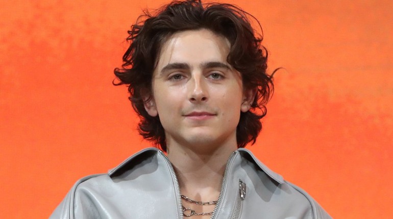 timothée chalamet