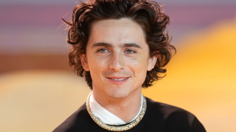 l'attore timothée chalamet